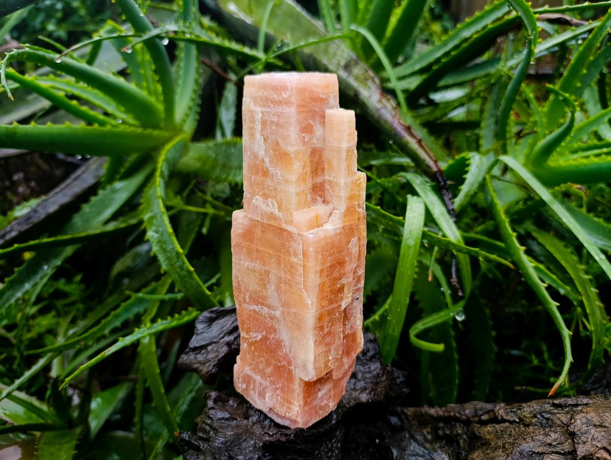 Natural Sunset Orange Calcite Specimens x 3 From Spitzkop, Namibia - Toprock Gemstones and Minerals 