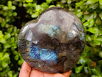 Polished Labradorite Hearts x 2 From Tulear, Madagascar - Toprock Gemstones and Minerals 