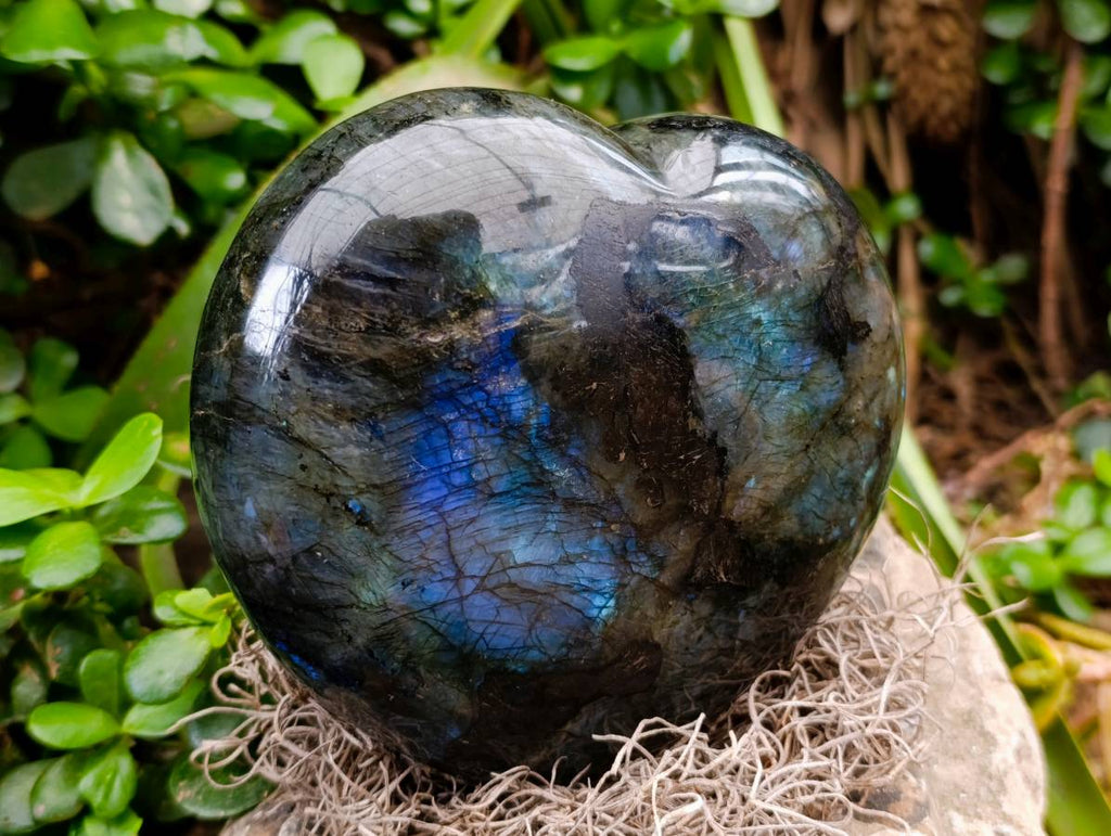 Polished Labradorite Hearts x 2 From Tulear, Madagascar - Toprock Gemstones and Minerals 