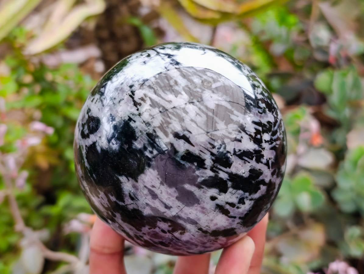 Polished Mixed Selected Merlinite and Rubellite Spheres x 2 From Madagascar - Toprock Gemstones and Minerals 