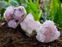 Natural Sunburst Amethyst Spirit Quartz Clusters x 12 From Boekenhouthoek, South Africa