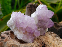 Natural Sunburst Amethyst Spirit Quartz Clusters x 12 From Boekenhouthoek, South Africa