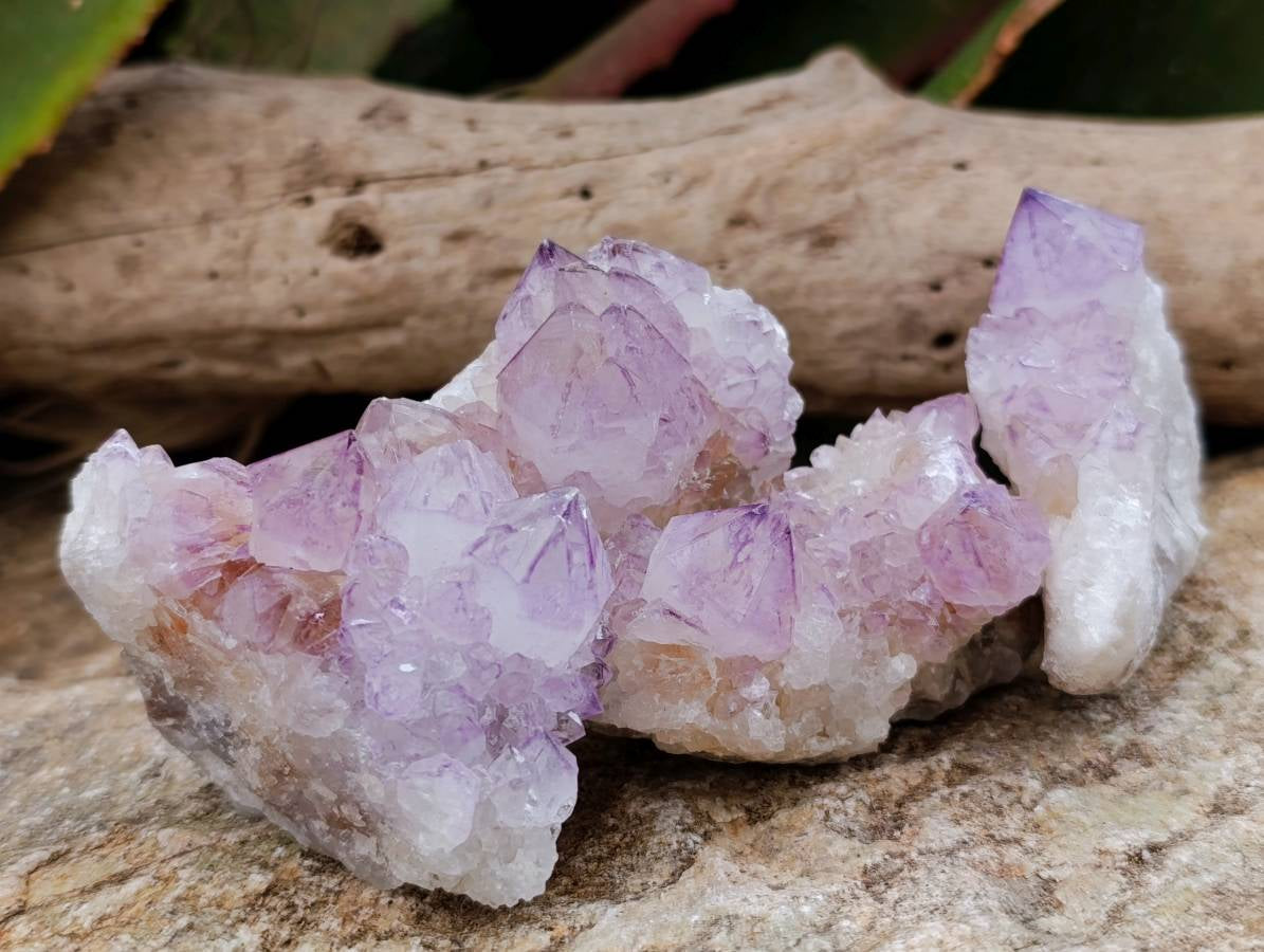Natural Sunburst Amethyst Spirit Quartz Clusters x 12 From Boekenhouthoek, South Africa - Toprock Gemstones and Minerals 