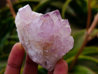 Natural Sunburst Amethyst Spirit Quartz Clusters x 12 From Boekenhouthoek, South Africa