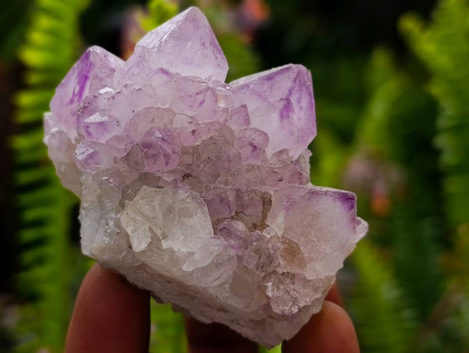 Natural Sunburst Amethyst Spirit Quartz Clusters x 12 From Boekenhouthoek, South Africa - Toprock Gemstones and Minerals 