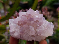 Natural Sunburst Amethyst Spirit Quartz Clusters x 12 From Boekenhouthoek, South Africa