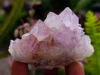 Natural Sunburst Amethyst Spirit Quartz Clusters x 12 From Boekenhouthoek, South Africa - Toprock Gemstones and Minerals 