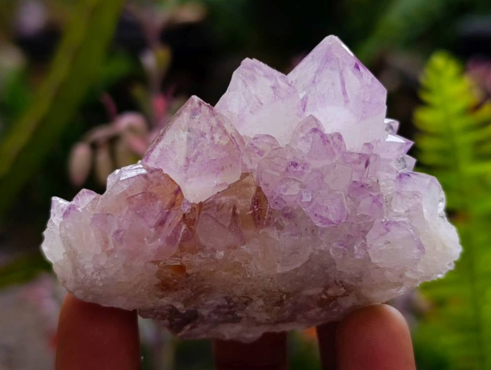 Natural Sunburst Amethyst Spirit Quartz Clusters x 12 From Boekenhouthoek, South Africa - Toprock Gemstones and Minerals 
