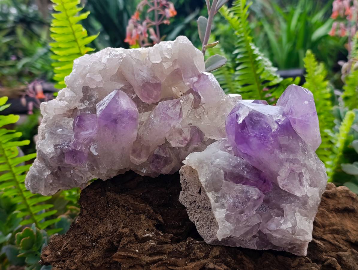 Natural Jacaranda Amethyst Quartz Crystal Clusters x 2 From Mumbwa, Zambia - Toprock Gemstones and Minerals 