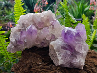 Natural Jacaranda Amethyst Quartz Crystal Clusters x 2 From Mumbwa, Zambia