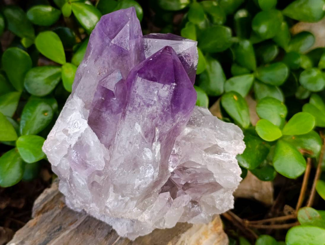 Natural Jacaranda Amethyst Quartz Crystal Clusters x 2 From Mumbwa, Zambia - Toprock Gemstones and Minerals 