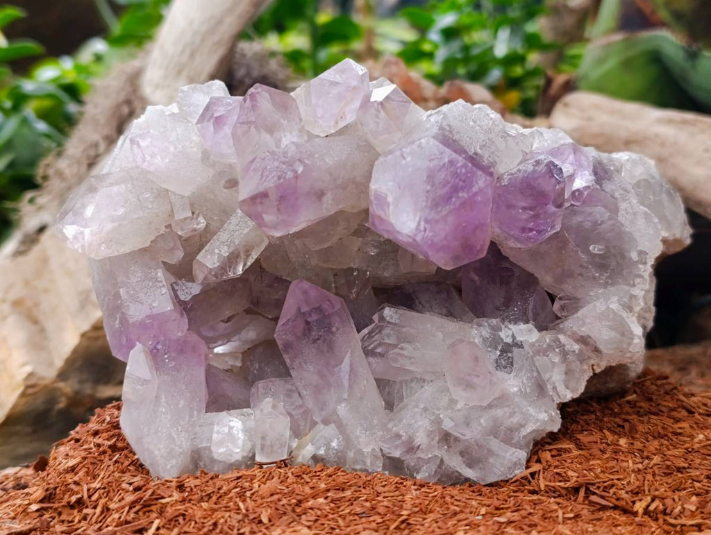 Natural Jacaranda Amethyst Quartz Crystal Clusters x 2 From Mumbwa, Zambia - Toprock Gemstones and Minerals 
