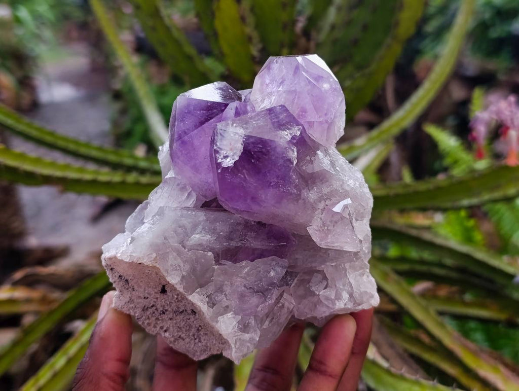 Natural Jacaranda Amethyst Quartz Crystal Clusters x 2 From Mumbwa, Zambia - Toprock Gemstones and Minerals 