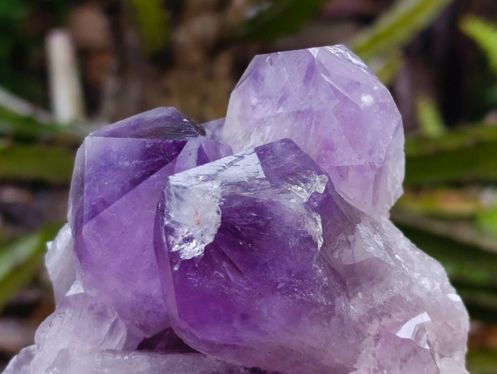 Natural Jacaranda Amethyst Quartz Crystal Clusters x 2 From Mumbwa, Zambia - Toprock Gemstones and Minerals 