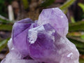 Natural Jacaranda Amethyst Quartz Crystal Clusters x 2 From Mumbwa, Zambia - Toprock Gemstones and Minerals 