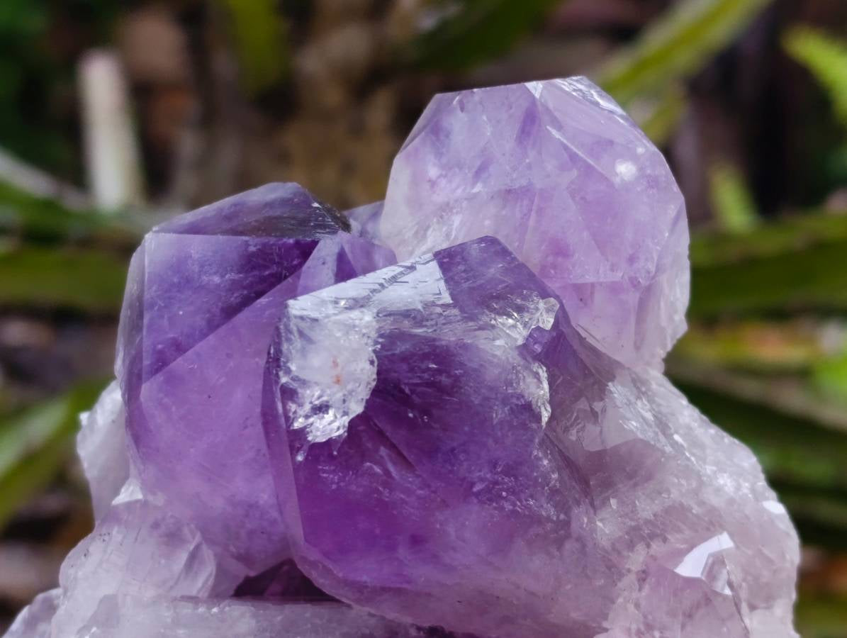 Natural Jacaranda Amethyst Quartz Crystal Clusters x 2 From Mumbwa, Zambia - Toprock Gemstones and Minerals 