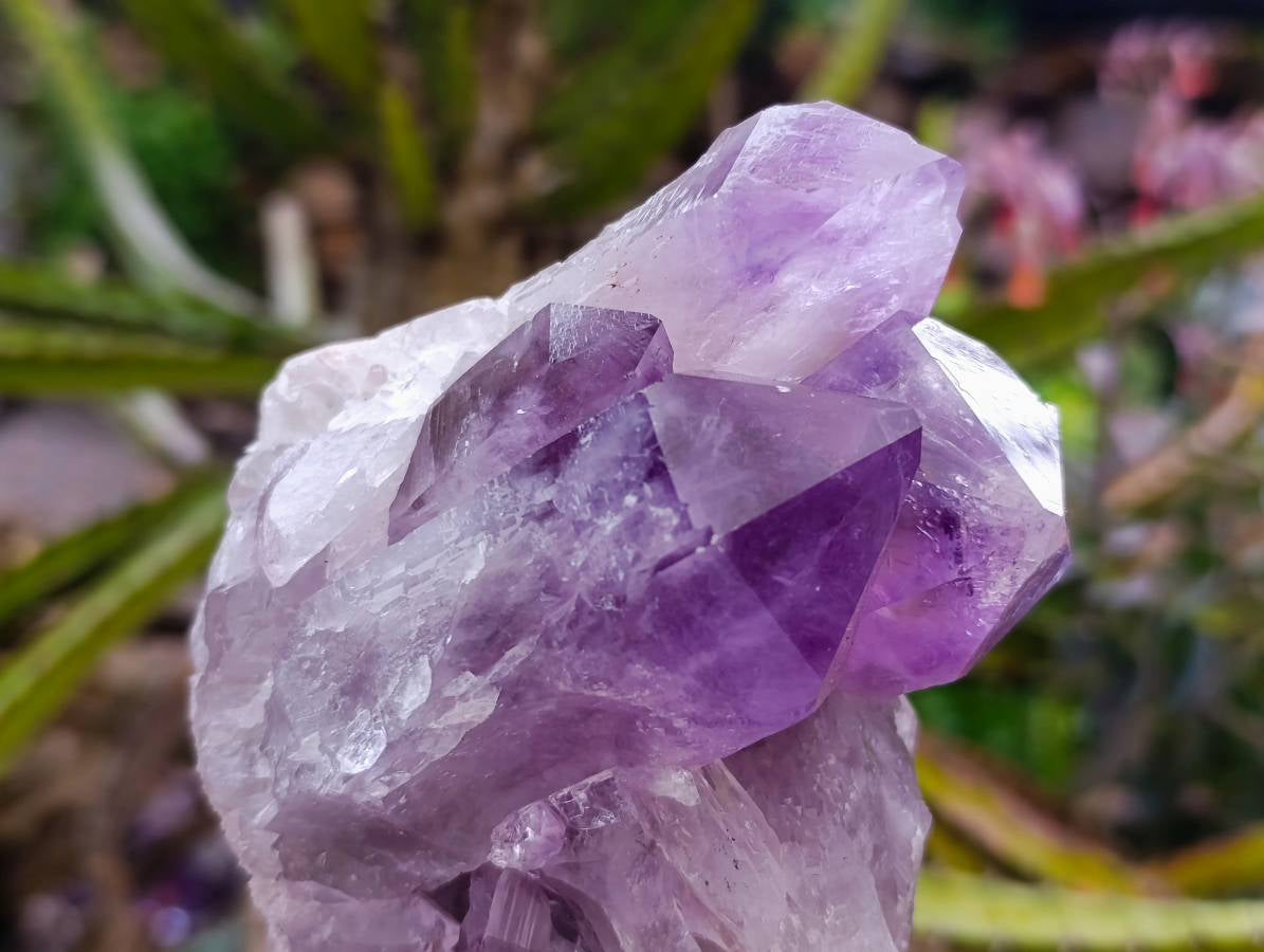 Natural Jacaranda Amethyst Quartz Crystal Clusters x 2 From Mumbwa, Zambia - Toprock Gemstones and Minerals 