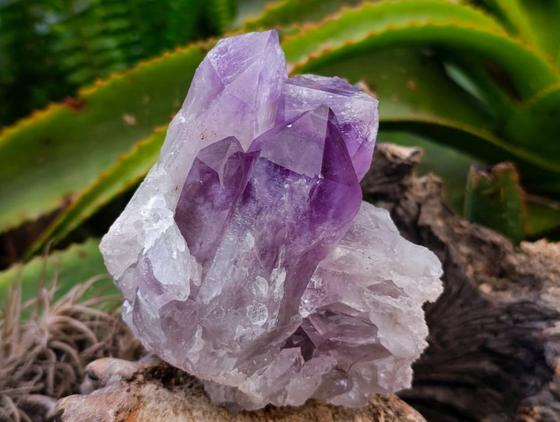 Natural Jacaranda Amethyst Quartz Crystal Clusters x 2 From Mumbwa, Zambia - Toprock Gemstones and Minerals 