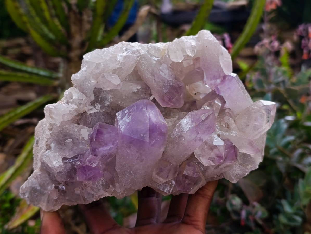 Natural Jacaranda Amethyst Quartz Crystal Clusters x 2 From Mumbwa, Zambia - Toprock Gemstones and Minerals 