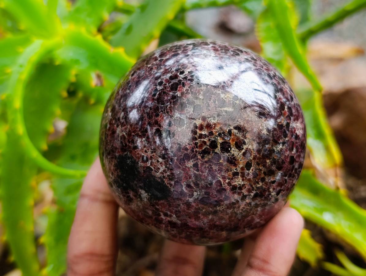 Polished Garnet Spheres x 2 From Mahajanga, Madagascar - Toprock Gemstones and Minerals 