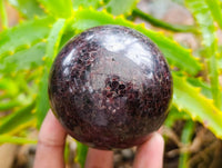 Polished Garnet Spheres x 2 From Mahajanga, Madagascar