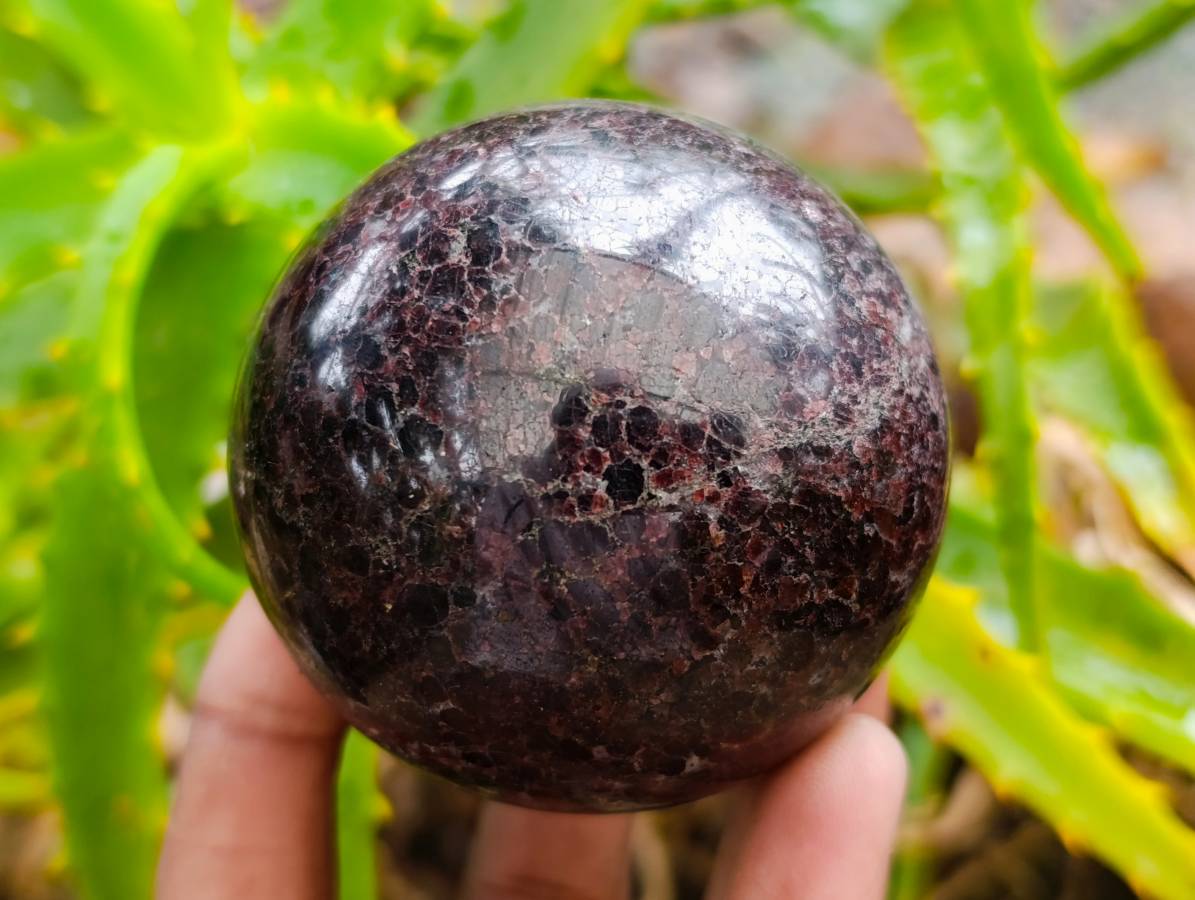 Polished Garnet Spheres x 2 From Mahajanga, Madagascar - Toprock Gemstones and Minerals 