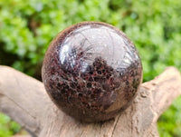 Polished Garnet Spheres x 2 From Mahajanga, Madagascar