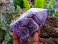 Polished Chevron Amethyst Points x 6 From Zambia