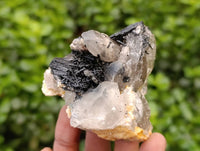 Natural Mixed Mineral and Crystal Specimens x 12 From Southern Africa