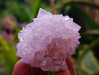 Natural Amethyst Spirit Quartz Clusters x 20 From Boekenhouthoek, South Africa