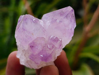 Natural Amethyst Spirit Quartz Clusters x 20 From Boekenhouthoek, South Africa