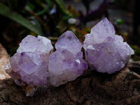 Natural Amethyst Spirit Quartz Clusters x 20 From Boekenhouthoek, South Africa