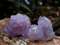 Natural Amethyst Spirit Quartz Clusters x 20 From Boekenhouthoek, South Africa