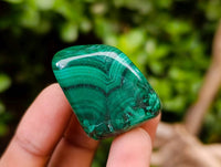 Polished Malacolla Free Forms x 35 From Kulukuluku, Congo