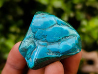 Polished Malacolla Free Forms x 35 From Kulukuluku, Congo