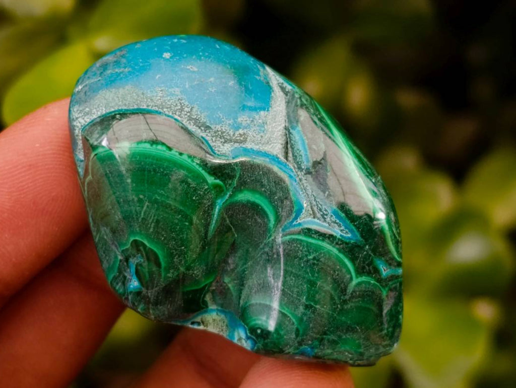 Polished Malacolla Free Forms x 35 From Kulukuluku, Congo - Toprock Gemstones and Minerals 