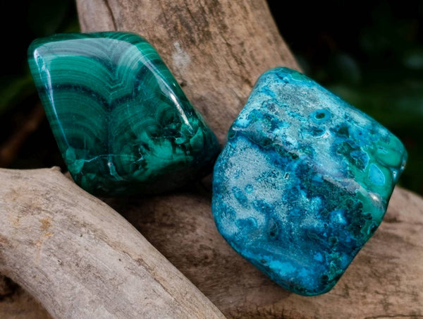 Polished Malacolla Free Forms x 35 From Kulukuluku, Congo