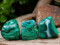 Polished Malacolla Free Forms x 35 From Kulukuluku, Congo
