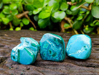 Polished Malacolla Free Forms x 35 From Kulukuluku, Congo
