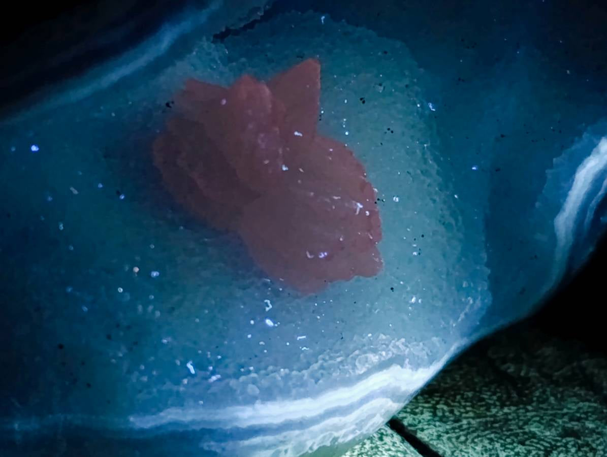 Polished Blue Lace Agate Standing Free Form x 1 From Nsanje, Malawi - Toprock Gemstones and Minerals 