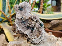 Natural Silky Ball Malachite and Drusy Quartz On Dolomite Matrix Specimens x 2 From Congo