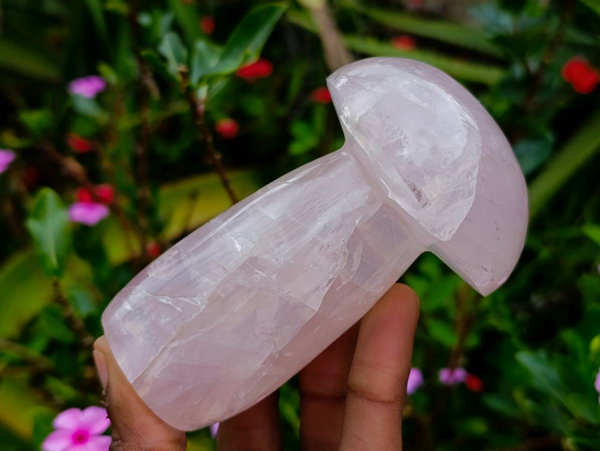 Polished Large Rose Quartz Mushrooms x 4 From Madagascar - Toprock Gemstones and Minerals 
