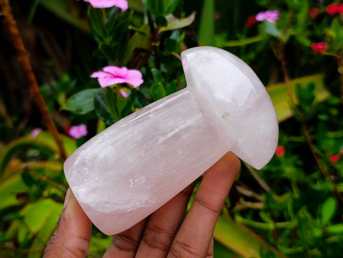 Polished Large Rose Quartz Mushrooms x 4 From Madagascar - Toprock Gemstones and Minerals 