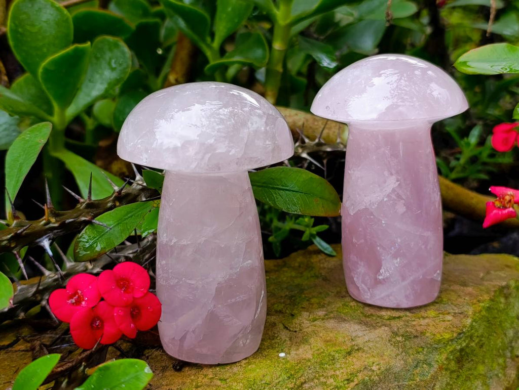 Polished Large Rose Quartz Mushrooms x 4 From Madagascar - Toprock Gemstones and Minerals 
