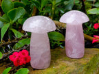Polished Large Rose Quartz Mushrooms x 4 From Madagascar - Toprock Gemstones and Minerals 