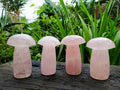 Polished Large Rose Quartz Mushrooms x 4 From Madagascar - Toprock Gemstones and Minerals 
