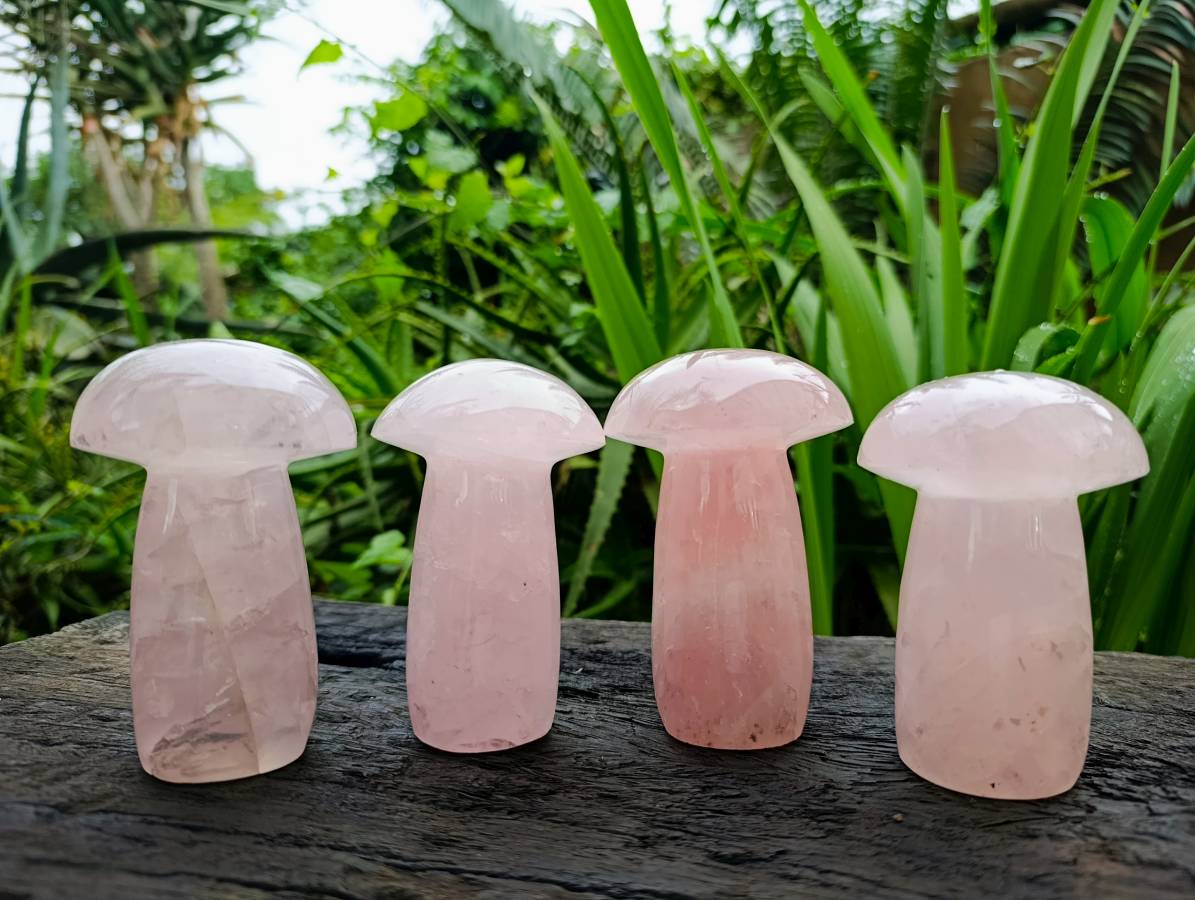 Polished Large Rose Quartz Mushrooms x 4 From Madagascar - Toprock Gemstones and Minerals 