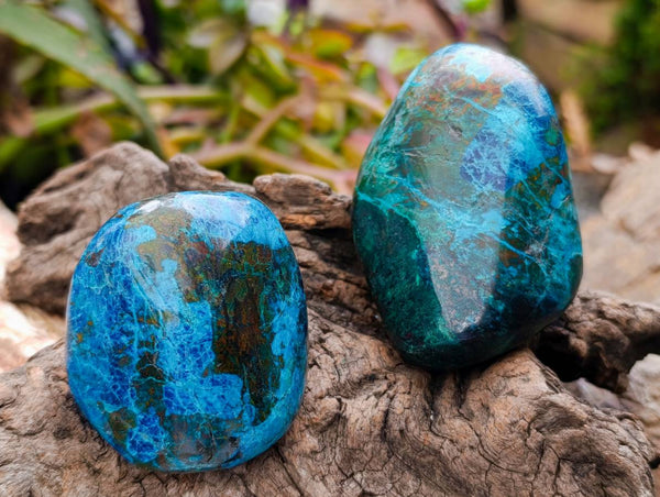 Polished Shattuckite Malachite and Bornite Free Forms x 6 From Kaokoveld, Namibia
