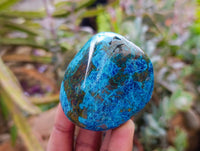 Polished Shattuckite Malachite and Bornite Free Forms x 6 From Kaokoveld, Namibia