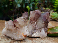Natural Red Hematoid Quartz Crystals x 13 From Karoi, Zimbabwe